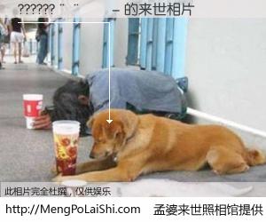 #孟婆来世照相馆# 【??????����- 来世的未来相片】一碗梦婆汤，忘却了今生爱与痛，了无牵挂进入轮回。再相遇，已是天涯陌路人。可否借我一双慧眼，看清今生与来世？孟婆来世照相馆，触摸你的未来。??????����- 来世的未来相片，有图有真相：