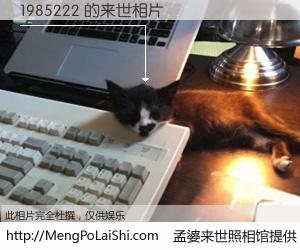 #孟婆来世照相馆# 【1985222 来世的未来相片】一碗梦婆汤，忘却了今生爱与痛，了无牵挂进入轮回。再相遇，已是天涯陌路人。可否借我一双慧眼，看清今生与来世？孟婆来世照相馆，触摸你的未来。1985222 来世的未来相片，有图有真相：