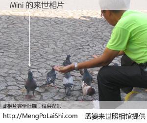 #孟婆来世照相馆# 【Mini 来世的未来相片】一碗梦婆汤，忘却了今生爱与痛，了无牵挂进入轮回。再相遇，已是天涯陌路人。可否借我一双慧眼，看清今生与来世？孟婆来世照相馆，触摸你的未来。Mini 来世的未来相片，有图有真相：