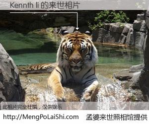 #孟婆来世照相馆# 【Kennth li 来世的未来相片】一碗梦婆汤，忘却了今生爱与痛，了无牵挂进入轮回。再相遇，已是天涯陌路人。可否借我一双慧眼，看清今生与来世？孟婆来世照相馆，触摸你的未来。Kennth li 来世的未来相片，有图有真相：