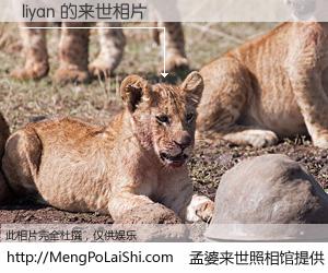 #孟婆来世照相馆# 【liyan 来世的未来相片】一碗梦婆汤，忘却了今生爱与痛，了无牵挂进入轮回。再相遇，已是天涯陌路人。可否借我一双慧眼，看清今生与来世？孟婆来世照相馆，触摸你的未来。liyan 来世的未来相片，有图有真相：