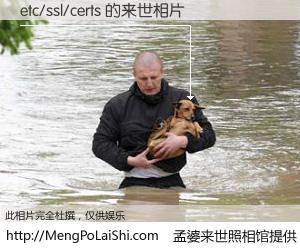 #孟婆来世照相馆# 【etc/ssl/certs 来世的未来相片】一碗梦婆汤，忘却了今生爱与痛，了无牵挂进入轮回。再相遇，已是天涯陌路人。可否借我一双慧眼，看清今生与来世？孟婆来世照相馆，触摸你的未来。etc/ssl/certs 来世的未来相片，有图有真相：