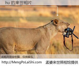 #孟婆来世照相馆# 【hu 来世的未来相片】一碗梦婆汤，忘却了今生爱与痛，了无牵挂进入轮回。再相遇，已是天涯陌路人。可否借我一双慧眼，看清今生与来世？孟婆来世照相馆，触摸你的未来。hu 来世的未来相片，有图有真相：