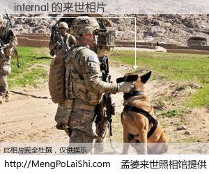 #孟婆来世照相馆# 【internal 来世的未来相片】一碗梦婆汤，忘却了今生爱与痛，了无牵挂进入轮回。再相遇，已是天涯陌路人。可否借我一双慧眼，看清今生与来世？孟婆来世照相馆，触摸你的未来。internal 来世的未来相片，有图有真相：