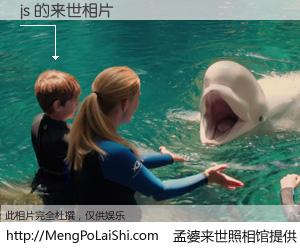 #孟婆来世照相馆# 【js 来世的未来相片】一碗梦婆汤，忘却了今生爱与痛，了无牵挂进入轮回。再相遇，已是天涯陌路人。可否借我一双慧眼，看清今生与来世？孟婆来世照相馆，触摸你的未来。js 来世的未来相片，有图有真相：