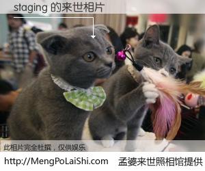 #孟婆来世照相馆# 【staging 来世的未来相片】一碗梦婆汤，忘却了今生爱与痛，了无牵挂进入轮回。再相遇，已是天涯陌路人。可否借我一双慧眼，看清今生与来世？孟婆来世照相馆，触摸你的未来。staging 来世的未来相片，有图有真相：