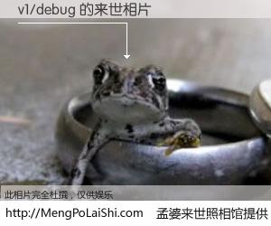 #孟婆来世照相馆# 【v1/debug 来世的未来相片】一碗梦婆汤，忘却了今生爱与痛，了无牵挂进入轮回。再相遇，已是天涯陌路人。可否借我一双慧眼，看清今生与来世？孟婆来世照相馆，触摸你的未来。v1/debug 来世的未来相片，有图有真相：