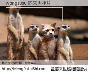 #孟婆来世照相馆# 【wangsusu 来世的未来相片】一碗梦婆汤，忘却了今生爱与痛，了无牵挂进入轮回。再相遇，已是天涯陌路人。可否借我一双慧眼，看清今生与来世？孟婆来世照相馆，触摸你的未来。wangsusu 来世的未来相片，有图有真相：