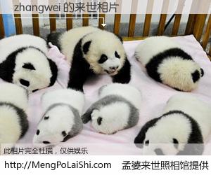 #孟婆来世照相馆# 【zhangwei 来世的未来相片】一碗梦婆汤，忘却了今生爱与痛，了无牵挂进入轮回。再相遇，已是天涯陌路人。可否借我一双慧眼，看清今生与来世？孟婆来世照相馆，触摸你的未来。zhangwei 来世的未来相片，有图有真相：