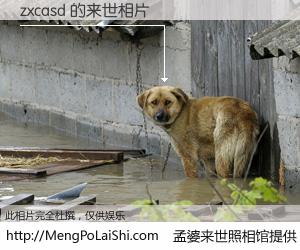 #孟婆来世照相馆# 【zxcasd 来世的未来相片】一碗梦婆汤，忘却了今生爱与痛，了无牵挂进入轮回。再相遇，已是天涯陌路人。可否借我一双慧眼，看清今生与来世？孟婆来世照相馆，触摸你的未来。zxcasd 来世的未来相片，有图有真相：