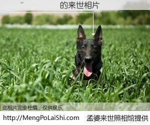 #孟婆来世照相馆# 【������ 来世的未来相片】一碗梦婆汤，忘却了今生爱与痛，了无牵挂进入轮回。再相遇，已是天涯陌路人。可否借我一双慧眼，看清今生与来世？孟婆来世照相馆，触摸你的未来。������ 来世的未来相片，有图有真相：