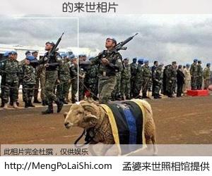 #孟婆来世照相馆# 【���� 来世的未来相片】一碗梦婆汤，忘却了今生爱与痛，了无牵挂进入轮回。再相遇，已是天涯陌路人。可否借我一双慧眼，看清今生与来世？孟婆来世照相馆，触摸你的未来。���� 来世的未来相片，有图有真相：