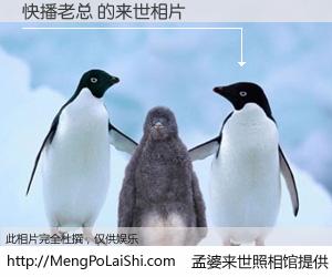 #孟婆来世照相馆# 【快播老总 来世的未来相片】一碗梦婆汤，忘却了今生爱与痛，了无牵挂进入轮回。再相遇，已是天涯陌路人。可否借我一双慧眼，看清今生与来世？孟婆来世照相馆，触摸你的未来。快播老总 来世的未来相片，有图有真相：