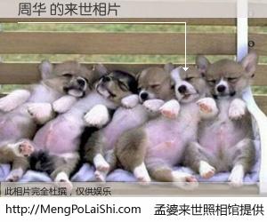 #孟婆来世照相馆# 【周华 来世的未来相片】一碗梦婆汤，忘却了今生爱与痛，了无牵挂进入轮回。再相遇，已是天涯陌路人。可否借我一双慧眼，看清今生与来世？孟婆来世照相馆，触摸你的未来。周华 来世的未来相片，有图有真相：