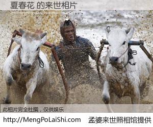 #孟婆来世照相馆# 【夏春花 来世的未来相片】一碗梦婆汤，忘却了今生爱与痛，了无牵挂进入轮回。再相遇，已是天涯陌路人。可否借我一双慧眼，看清今生与来世？孟婆来世照相馆，触摸你的未来。夏春花 来世的未来相片，有图有真相：