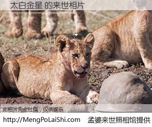 #孟婆来世照相馆# 【太白金星 来世的未来相片】一碗梦婆汤，忘却了今生爱与痛，了无牵挂进入轮回。再相遇，已是天涯陌路人。可否借我一双慧眼，看清今生与来世？孟婆来世照相馆，触摸你的未来。太白金星 来世的未来相片，有图有真相：