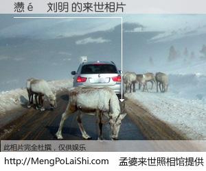 #孟婆来世照相馆# 【懑�刘明 来世的未来相片】一碗梦婆汤，忘却了今生爱与痛，了无牵挂进入轮回。再相遇，已是天涯陌路人。可否借我一双慧眼，看清今生与来世？孟婆来世照相馆，触摸你的未来。懑�刘明 来世的未来相片，有图有真相：