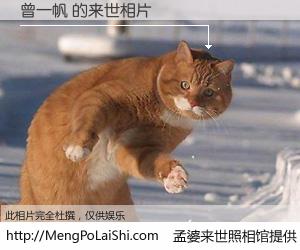 #孟婆来世照相馆# 【曾一帆 来世的未来相片】一碗梦婆汤，忘却了今生爱与痛，了无牵挂进入轮回。再相遇，已是天涯陌路人。可否借我一双慧眼，看清今生与来世？孟婆来世照相馆，触摸你的未来。曾一帆 来世的未来相片，有图有真相：