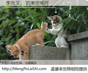 #孟婆来世照相馆# 【李光义、 来世的未来相片】一碗梦婆汤，忘却了今生爱与痛，了无牵挂进入轮回。再相遇，已是天涯陌路人。可否借我一双慧眼，看清今生与来世？孟婆来世照相馆，触摸你的未来。李光义、 来世的未来相片，有图有真相：