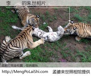 #孟婆来世照相馆# 【李順貴 来世的未来相片】一碗梦婆汤，忘却了今生爱与痛，了无牵挂进入轮回。再相遇，已是天涯陌路人。可否借我一双慧眼，看清今生与来世？孟婆来世照相馆，触摸你的未来。李順貴 来世的未来相片，有图有真相：