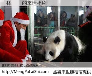 #孟婆来世照相馆# 【林旻鈺 来世的未来相片】一碗梦婆汤，忘却了今生爱与痛，了无牵挂进入轮回。再相遇，已是天涯陌路人。可否借我一双慧眼，看清今生与来世？孟婆来世照相馆，触摸你的未来。林旻鈺 来世的未来相片，有图有真相：