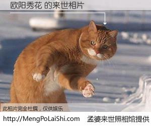 #孟婆来世照相馆# 【欧阳秀花 来世的未来相片】一碗梦婆汤，忘却了今生爱与痛，了无牵挂进入轮回。再相遇，已是天涯陌路人。可否借我一双慧眼，看清今生与来世？孟婆来世照相馆，触摸你的未来。欧阳秀花 来世的未来相片，有图有真相：