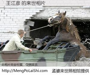 #孟婆来世照相馆# 【王江彦 来世的未来相片】一碗梦婆汤，忘却了今生爱与痛，了无牵挂进入轮回。再相遇，已是天涯陌路人。可否借我一双慧眼，看清今生与来世？孟婆来世照相馆，触摸你的未来。王江彦 来世的未来相片，有图有真相：