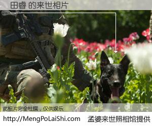 #孟婆来世照相馆# 【田睿 来世的未来相片】一碗梦婆汤，忘却了今生爱与痛，了无牵挂进入轮回。再相遇，已是天涯陌路人。可否借我一双慧眼，看清今生与来世？孟婆来世照相馆，触摸你的未来。田睿 来世的未来相片，有图有真相：