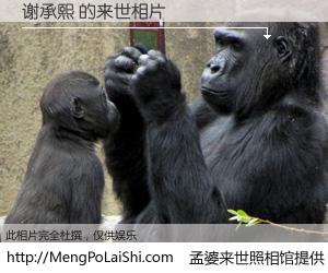 #孟婆来世照相馆# 【谢承熙 来世的未来相片】一碗梦婆汤，忘却了今生爱与痛，了无牵挂进入轮回。再相遇，已是天涯陌路人。可否借我一双慧眼，看清今生与来世？孟婆来世照相馆，触摸你的未来。谢承熙 来世的未来相片，有图有真相：