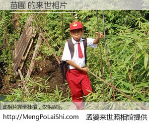 #孟婆来世照相馆# 【苗圃 来世的未来相片】一碗梦婆汤，忘却了今生爱与痛，了无牵挂进入轮回。再相遇，已是天涯陌路人。可否借我一双慧眼，看清今生与来世？孟婆来世照相馆，触摸你的未来。苗圃 来世的未来相片，有图有真相：