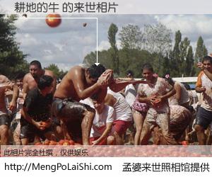 #孟婆来世照相馆# 【耕地的牛 来世的未来相片】一碗梦婆汤，忘却了今生爱与痛，了无牵挂进入轮回。再相遇，已是天涯陌路人。可否借我一双慧眼，看清今生与来世？孟婆来世照相馆，触摸你的未来。耕地的牛 来世的未来相片，有图有真相：