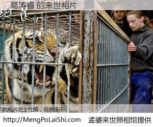 #孟婆来世照相馆# 【葛涛睿 来世的未来相片】一碗梦婆汤，忘却了今生爱与痛，了无牵挂进入轮回。再相遇，已是天涯陌路人。可否借我一双慧眼，看清今生与来世？孟婆来世照相馆，触摸你的未来。葛涛睿 来世的未来相片，有图有真相：