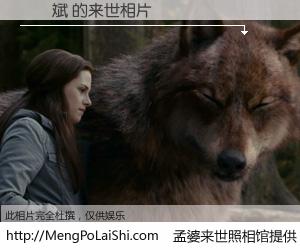 #孟婆来世照相馆# 【黃聖斌 来世的未来相片】一碗梦婆汤，忘却了今生爱与痛，了无牵挂进入轮回。再相遇，已是天涯陌路人。可否借我一双慧眼，看清今生与来世？孟婆来世照相馆，触摸你的未来。黃聖斌 来世的未来相片，有图有真相：