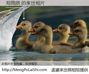 #孟婆来世照相馆# 【郑雨欣 来世的未来相片】一碗梦婆汤，忘却了今生爱与痛，了无牵挂进入轮回。再相遇，已是天涯陌路人。可否借我一双慧眼，看清今生与来世？孟婆来世照相馆，触摸你的未来。郑雨欣 来世的未来相片，有图有真相：