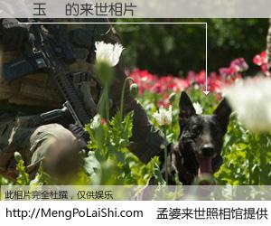 #孟婆来世照相馆# 【鄭玉華 来世的未来相片】一碗梦婆汤，忘却了今生爱与痛，了无牵挂进入轮回。再相遇，已是天涯陌路人。可否借我一双慧眼，看清今生与来世？孟婆来世照相馆，触摸你的未来。鄭玉華 来世的未来相片，有图有真相：