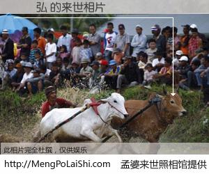 #孟婆来世照相馆# 【陳鳴弘 来世的未来相片】一碗梦婆汤，忘却了今生爱与痛，了无牵挂进入轮回。再相遇，已是天涯陌路人。可否借我一双慧眼，看清今生与来世？孟婆来世照相馆，触摸你的未来。陳鳴弘 来世的未来相片，有图有真相：