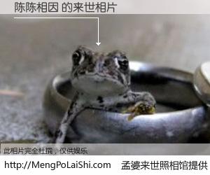 #孟婆来世照相馆# 【陈陈相因 来世的未来相片】一碗梦婆汤，忘却了今生爱与痛，了无牵挂进入轮回。再相遇，已是天涯陌路人。可否借我一双慧眼，看清今生与来世？孟婆来世照相馆，触摸你的未来。陈陈相因 来世的未来相片，有图有真相：