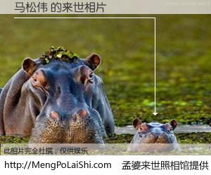 #孟婆来世照相馆# 【马松伟 来世的未来相片】一碗梦婆汤，忘却了今生爱与痛，了无牵挂进入轮回。再相遇，已是天涯陌路人。可否借我一双慧眼，看清今生与来世？孟婆来世照相馆，触摸你的未来。马松伟 来世的未来相片，有图有真相：