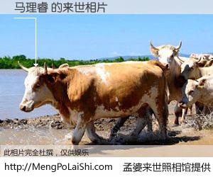 #孟婆来世照相馆# 【马理睿 来世的未来相片】一碗梦婆汤，忘却了今生爱与痛，了无牵挂进入轮回。再相遇，已是天涯陌路人。可否借我一双慧眼，看清今生与来世？孟婆来世照相馆，触摸你的未来。马理睿 来世的未来相片，有图有真相：