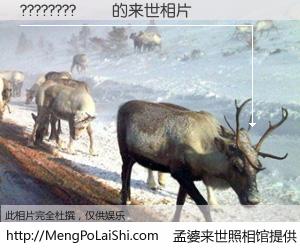 #孟婆来世照相馆# 【????????�� 来世的未来相片】一碗梦婆汤，忘却了今生爱与痛，了无牵挂进入轮回。再相遇，已是天涯陌路人。可否借我一双慧眼，看清今生与来世？孟婆来世照相馆，触摸你的未来。????????�� 来世的未来相片，有图有真相：