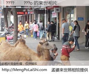 #孟婆来世照相馆# 【????��???o 来世的未来相片】一碗梦婆汤，忘却了今生爱与痛，了无牵挂进入轮回。再相遇，已是天涯陌路人。可否借我一双慧眼，看清今生与来世？孟婆来世照相馆，触摸你的未来。????��???o 来世的未来相片，有图有真相：