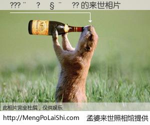 #孟婆来世照相馆# 【???��?����?? 来世的未来相片】一碗梦婆汤，忘却了今生爱与痛，了无牵挂进入轮回。再相遇，已是天涯陌路人。可否借我一双慧眼，看清今生与来世？孟婆来世照相馆，触摸你的未来。???��?����?? 来世的未来相片，有图有真相：