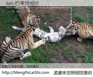 #孟婆来世照相馆# 【ken 来世的未来相片】一碗梦婆汤，忘却了今生爱与痛，了无牵挂进入轮回。再相遇，已是天涯陌路人。可否借我一双慧眼，看清今生与来世？孟婆来世照相馆，触摸你的未来。ken 来世的未来相片，有图有真相：