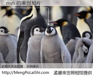 #孟婆来世照相馆# 【myh 来世的未来相片】一碗梦婆汤，忘却了今生爱与痛，了无牵挂进入轮回。再相遇，已是天涯陌路人。可否借我一双慧眼，看清今生与来世？孟婆来世照相馆，触摸你的未来。myh 来世的未来相片，有图有真相：