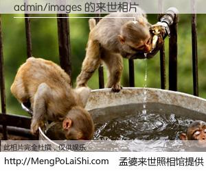 #孟婆来世照相馆# 【admin/images 来世的未来相片】一碗梦婆汤，忘却了今生爱与痛，了无牵挂进入轮回。再相遇，已是天涯陌路人。可否借我一双慧眼，看清今生与来世？孟婆来世照相馆，触摸你的未来。admin/images 来世的未来相片，有图有真相：