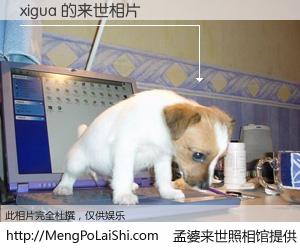 #孟婆来世照相馆# 【xigua 来世的未来相片】一碗梦婆汤，忘却了今生爱与痛，了无牵挂进入轮回。再相遇，已是天涯陌路人。可否借我一双慧眼，看清今生与来世？孟婆来世照相馆，触摸你的未来。xigua 来世的未来相片，有图有真相：