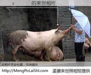 #孟婆来世照相馆# 【�ε��� 来世的未来相片】一碗梦婆汤，忘却了今生爱与痛，了无牵挂进入轮回。再相遇，已是天涯陌路人。可否借我一双慧眼，看清今生与来世？孟婆来世照相馆，触摸你的未来。�ε��� 来世的未来相片，有图有真相：