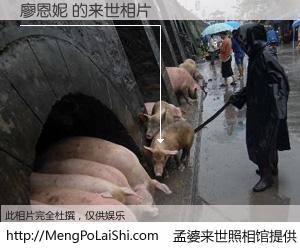 #孟婆来世照相馆# 【廖恩妮 来世的未来相片】一碗梦婆汤，忘却了今生爱与痛，了无牵挂进入轮回。再相遇，已是天涯陌路人。可否借我一双慧眼，看清今生与来世？孟婆来世照相馆，触摸你的未来。廖恩妮 来世的未来相片，有图有真相：