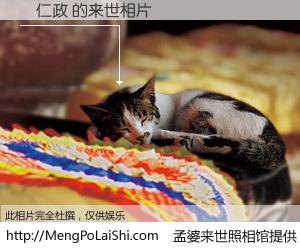 #孟婆来世照相馆# 【張仁政 来世的未来相片】一碗梦婆汤，忘却了今生爱与痛，了无牵挂进入轮回。再相遇，已是天涯陌路人。可否借我一双慧眼，看清今生与来世？孟婆来世照相馆，触摸你的未来。張仁政 来世的未来相片，有图有真相：