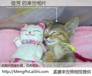 #孟婆来世照相馆# 【張佳芳 来世的未来相片】一碗梦婆汤，忘却了今生爱与痛，了无牵挂进入轮回。再相遇，已是天涯陌路人。可否借我一双慧眼，看清今生与来世？孟婆来世照相馆，触摸你的未来。張佳芳 来世的未来相片，有图有真相：